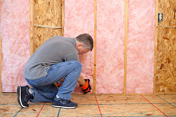 Best Spray Foam Insulation  in Sachse, TX